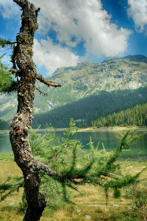 lago palù