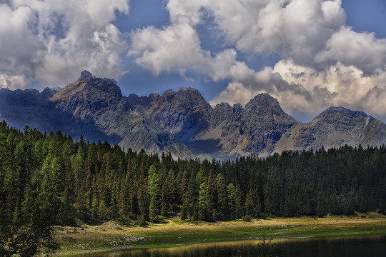 lago palù