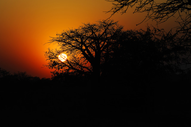 Tanzania